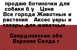 продаю ботиночки для собаки б/у › Цена ­ 600 - Все города Животные и растения » Аксесcуары и товары для животных   . Свердловская обл.,Верхняя Салда г.